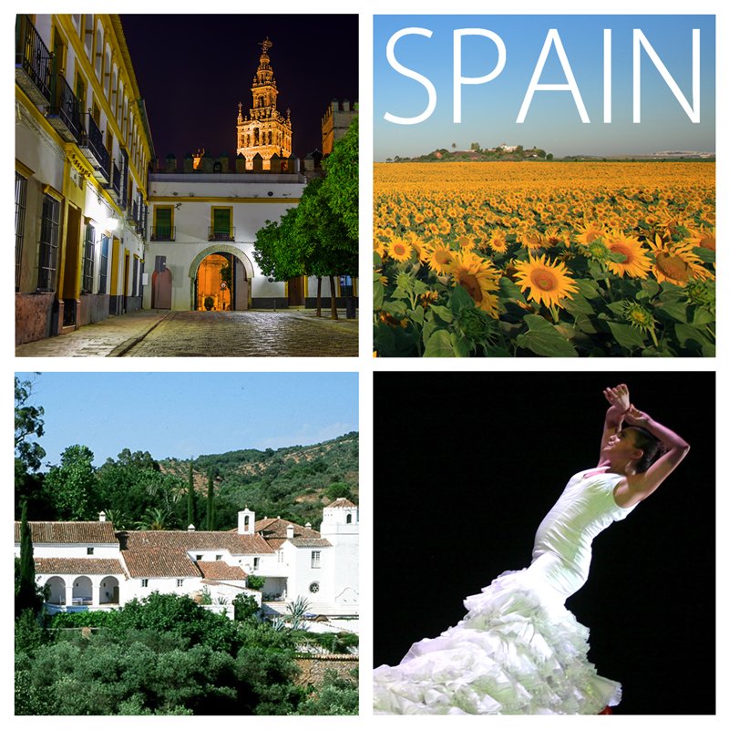 TimBestDirect's tweet image. 4-5 night exclusive itineraries for La Bienal de Flamenco, Sevilla - Sept. 
Dancing, haciendas, tasty tapas &amp;amp; more..