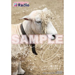 アニメガ ソフマップ なんば店 على تويتر ｃｄ入荷情報 ラジオcd 後藤沙緒里と喜多村英梨のseラジオ Vol 1 入荷しました こちらにはアニメガ特典として 後藤沙緒里と喜多村英梨のse すごくいい ブロマイド が付きます