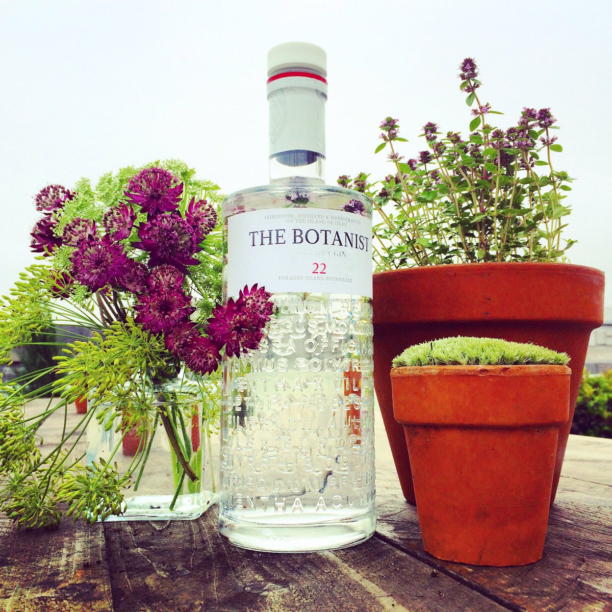 GinGarden's tweet photo. New gin masterclass dates for @thebotanistgin @Forest_LDN @Selfridges Thur/Fri 6.30pm £15 https://t.co/FzArMjS1jU https://t.co/QhMGW0gakj