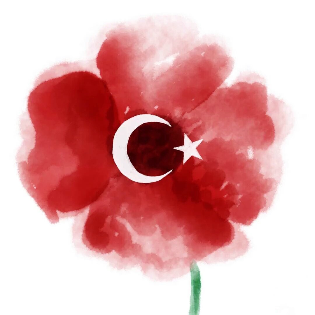 Ver imagen en Twitter