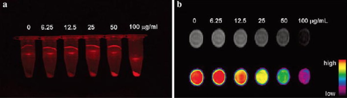 #366papers #nanoprobes with MRI and FI dual-modality imaging on #breast #cancer #stemcells 
ncbi.nlm.nih.gov/pubmed/27339420