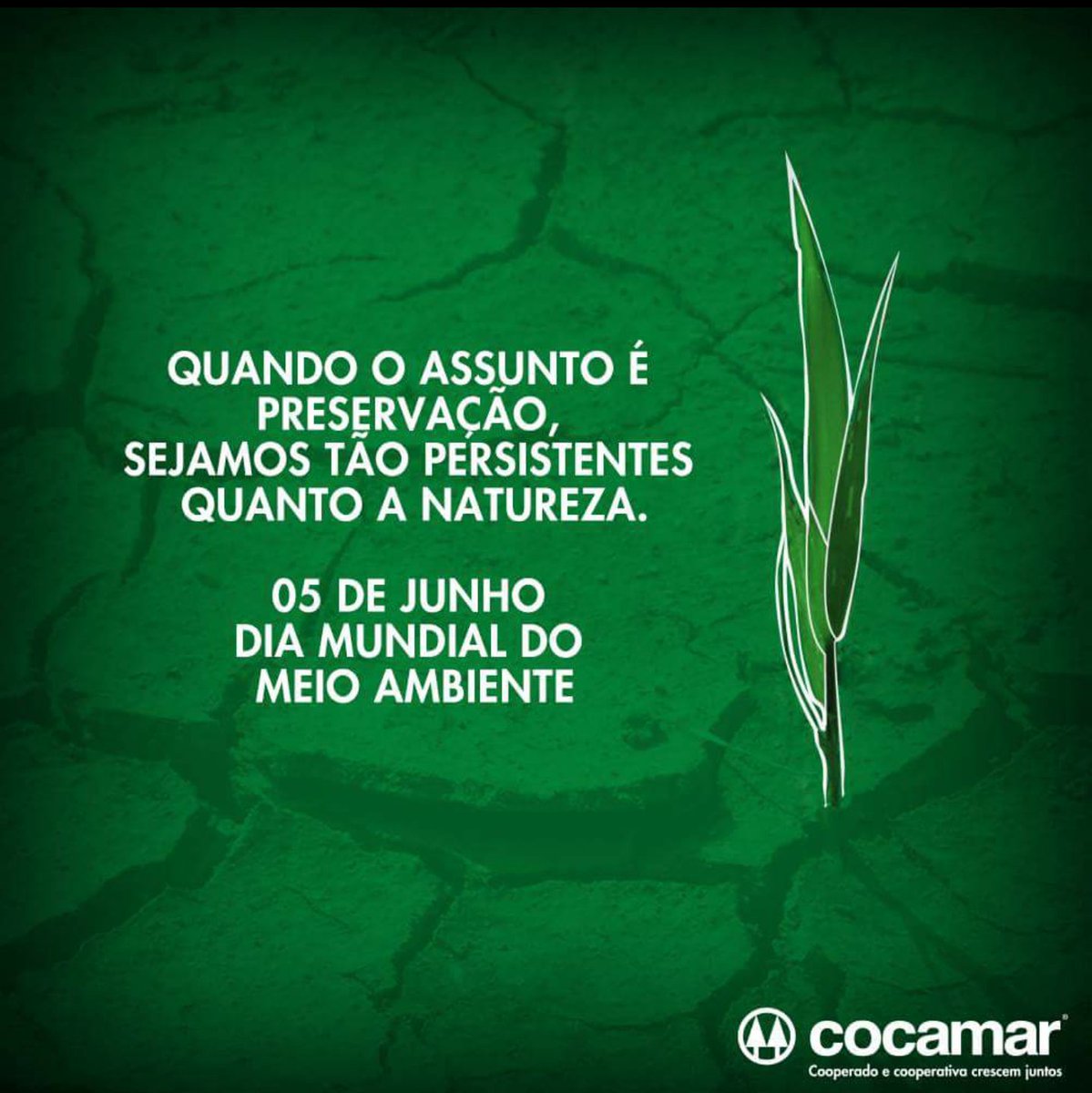 abcz_pmgz's tweet photo. Tecnologia, gestão e consciência social, os compromissos do #AgroTropico. #Cocamar #NetNexus https://t.co/zEyqZFpUlk
