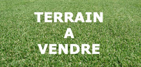 afrikimmob1's tweet image. Opportunité à saisir à PK 24! afrikimmob.com/2016/06/29/opp…