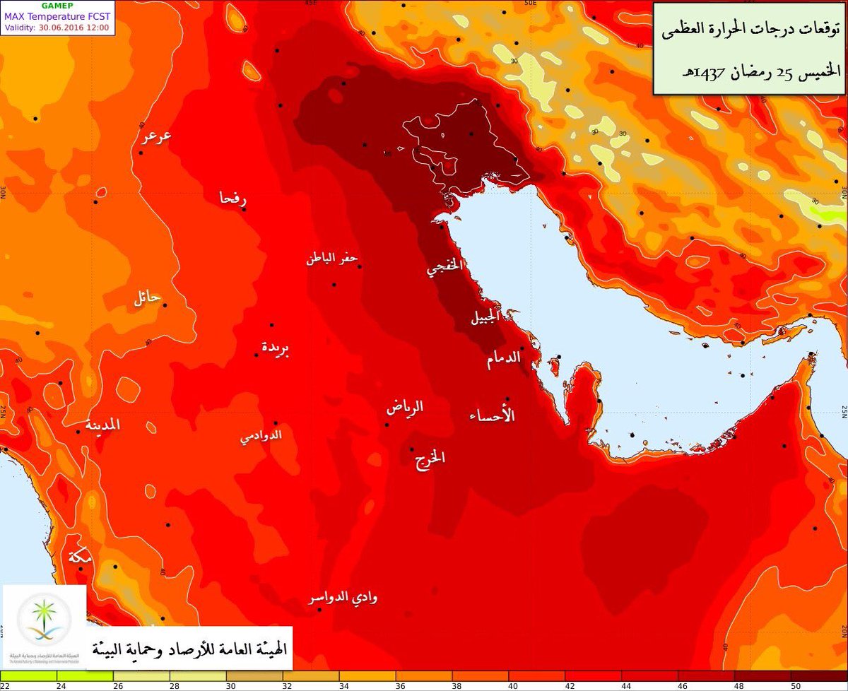 الإجهاد الحراري يتسبب في نفوق سلاحف بالجبيل