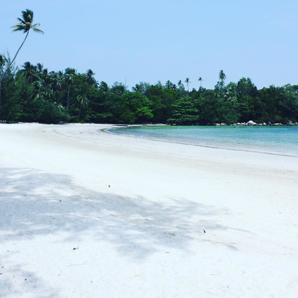 StraussWillem's tweet photo. Beautiful #Bintan.  #beach #ocean #whitebeach #nirwana #nirwanabeach #nirwanagardens #nirw… https://t.co/RtbLYcgK2T https://t.co/65aHjUfZ0d