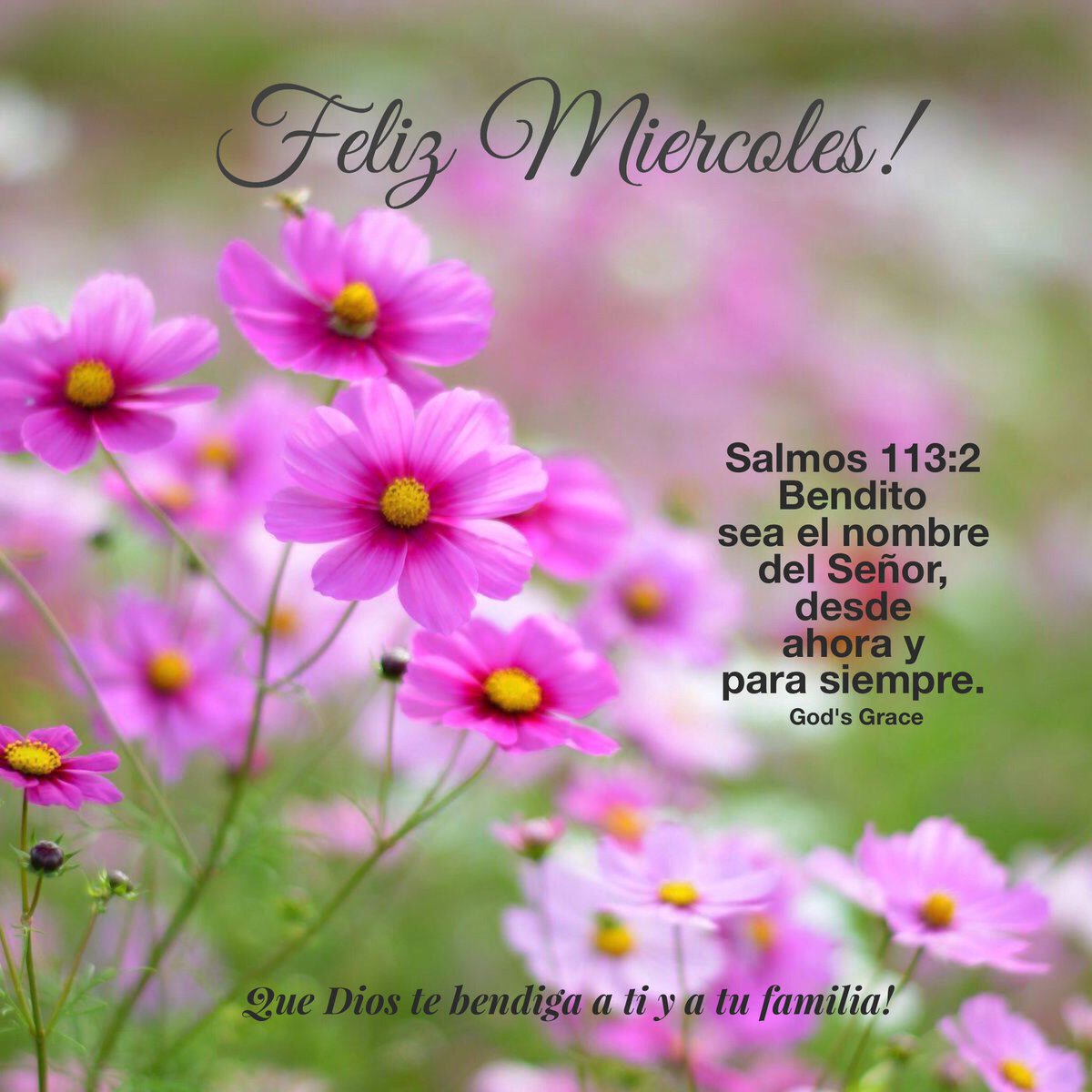 Adora a Cristo by Henry Padilla Londoño - Issuu, image size:1200x1200