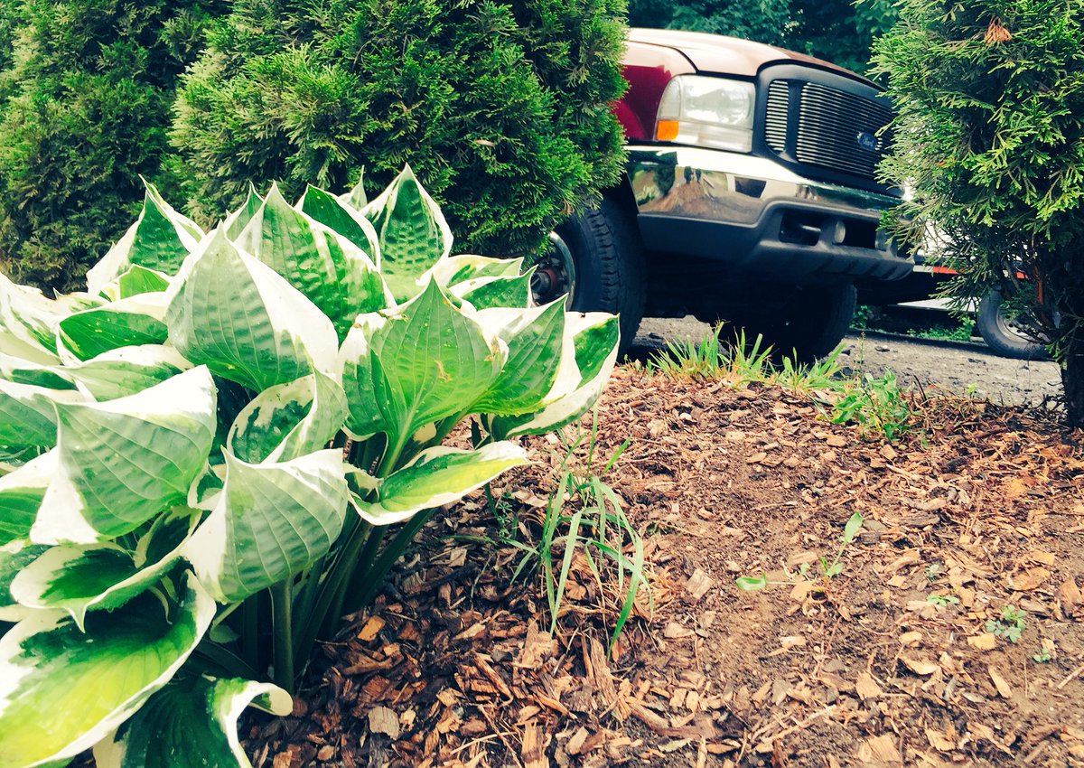 zruss508's tweet photo. Kinda got artsy the other day #TrumpTrain #6blow #6hoe #Truckcrushtuesday https://t.co/OygjXqUDXf