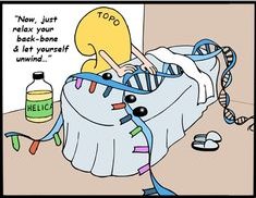 VHSScience's tweet image. A joke for all our students in SBI4U, who hopefully enjoy a good, nerdy laugh!  #biology #jokes #DNA