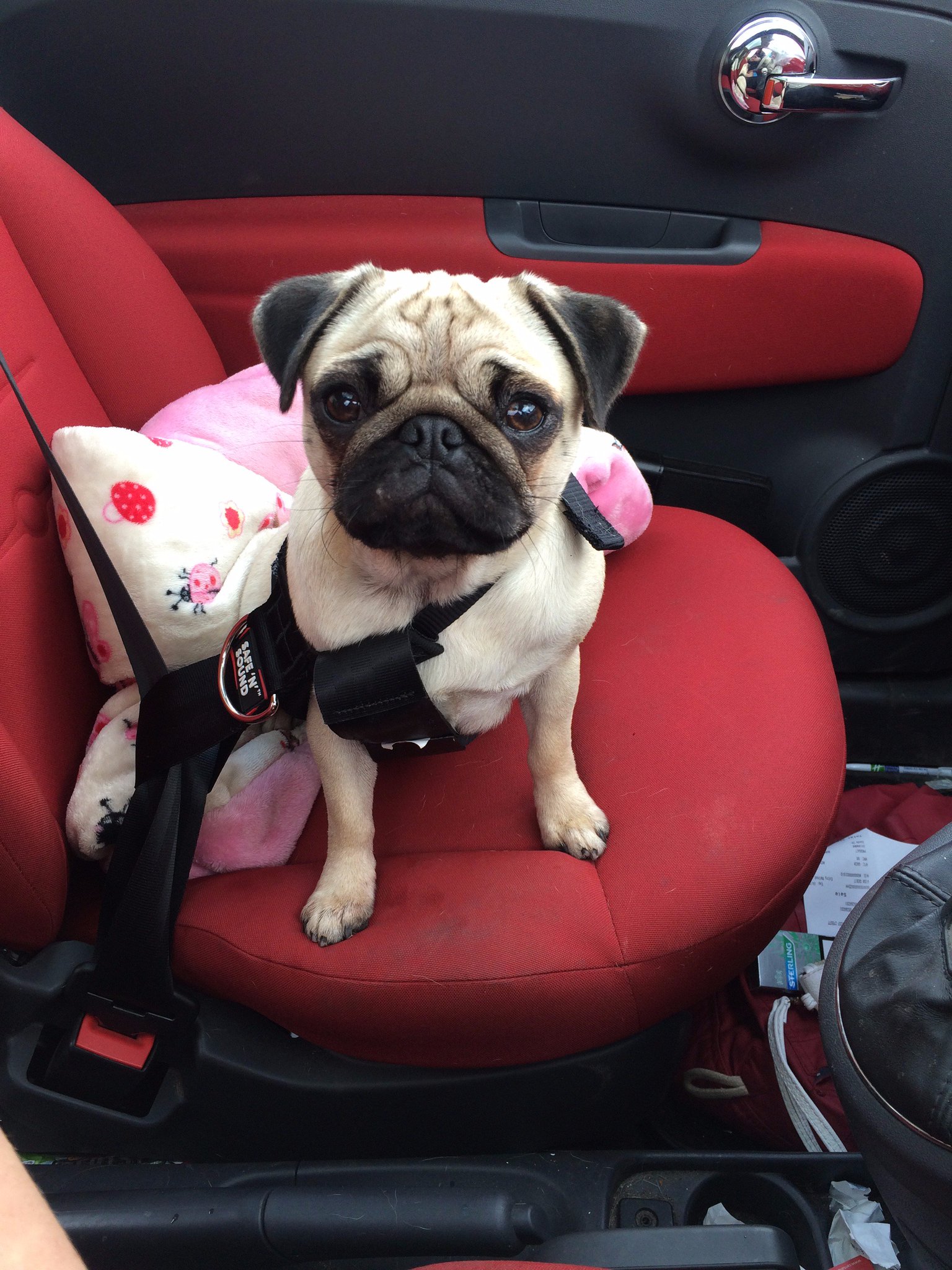 The Staff Agency Ltd on Twitter "A successful weekend at the Blackpool