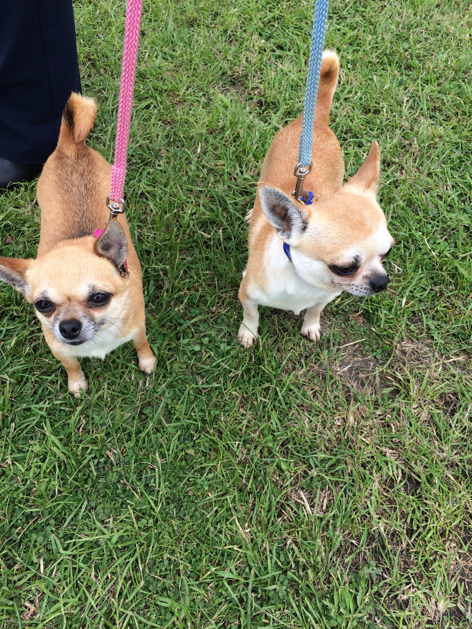 The Staff Agency Ltd on Twitter "A successful weekend at the Blackpool