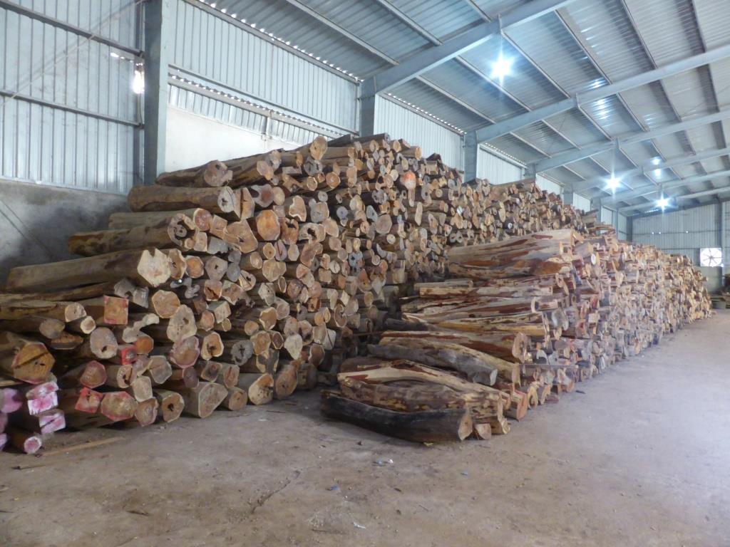 EIA_News's tweet photo. #Cambodia: @CITES #rosewood export permits were faked, Govt says https://t.co/fnut3EgbGK #Laos #China https://t.co/Vlp6KjnFXY