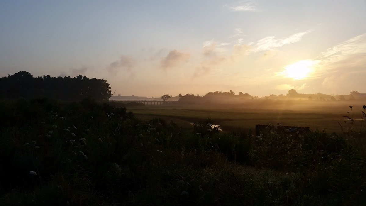 CBVolunbeers's tweet photo. Good Morning #ParadiseCreekNaturePark @ElizRiverProj #portsmouthva hidden gem. https://t.co/9jNv5nHJiV