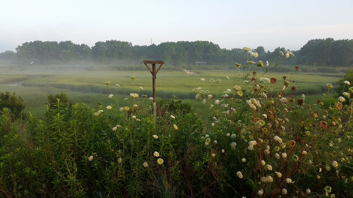CBVolunbeers's tweet photo. Good Morning Birdies #ParadiseCreekNaturePark https://t.co/dYjrLdHaDg