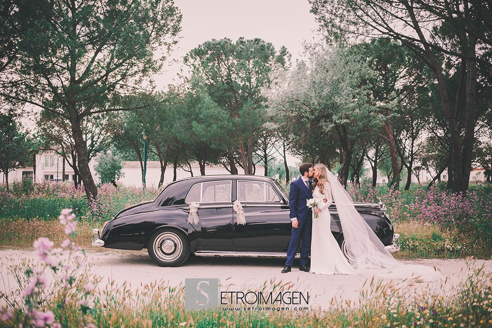 Setroimagen's tweet photo. Para esta semana os dejo con una boda elegante en @TurfZH 
#setroimagen #hipodromozarzuela

https://t.co/X3wAQ9N62u https://t.co/FTlLhisPmP