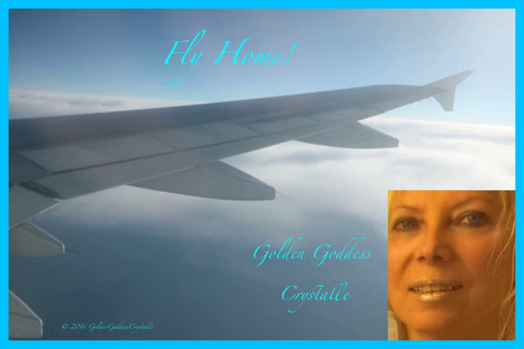 GCrystalleModel's tweet photo. Fly Home!! Goddess Crystalle - https://t.co/NdDEGXH3iv #model #recordingartist #tvhostess #love https://t.co/dh8Wc85NN7