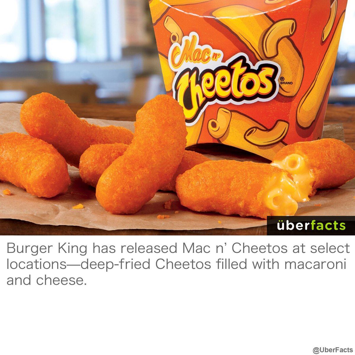 UberFacts's tweet photo. Oh. My. God. https://t.co/ezAT9Eq8x3