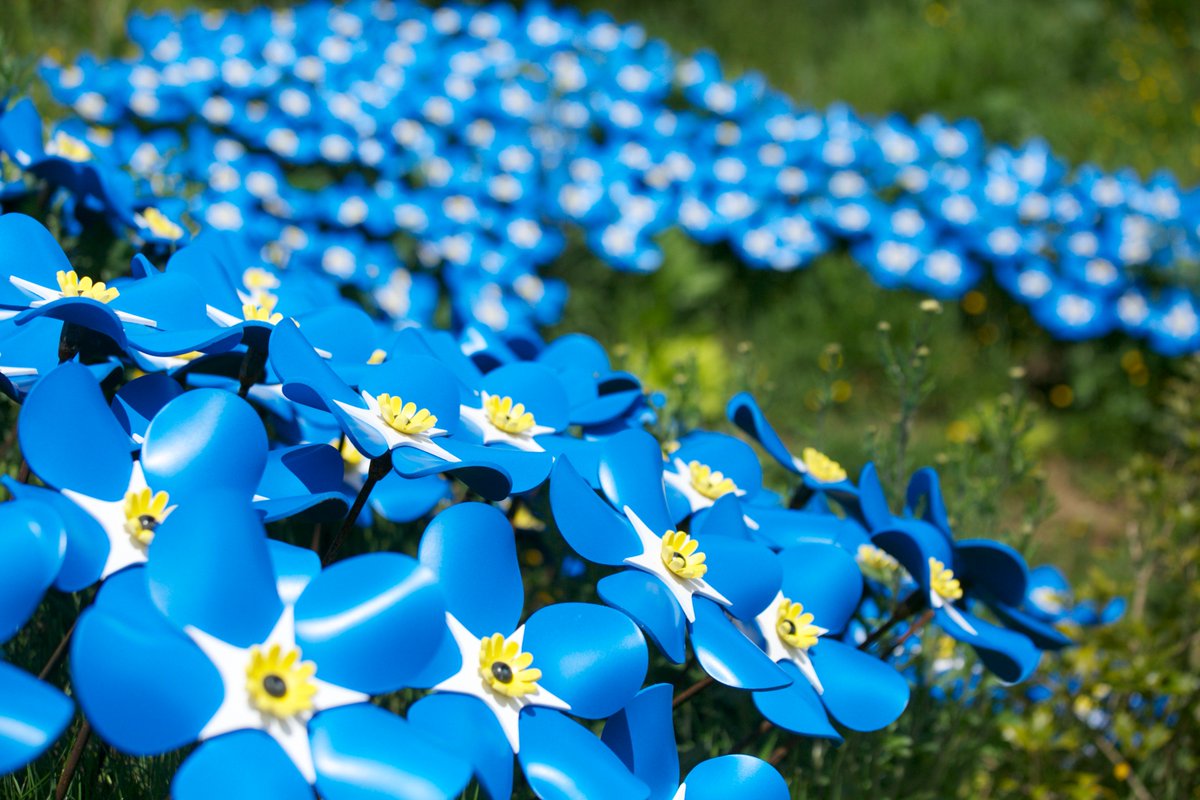 Lily Rose Florist (LilyRoseFlorist) Twitter