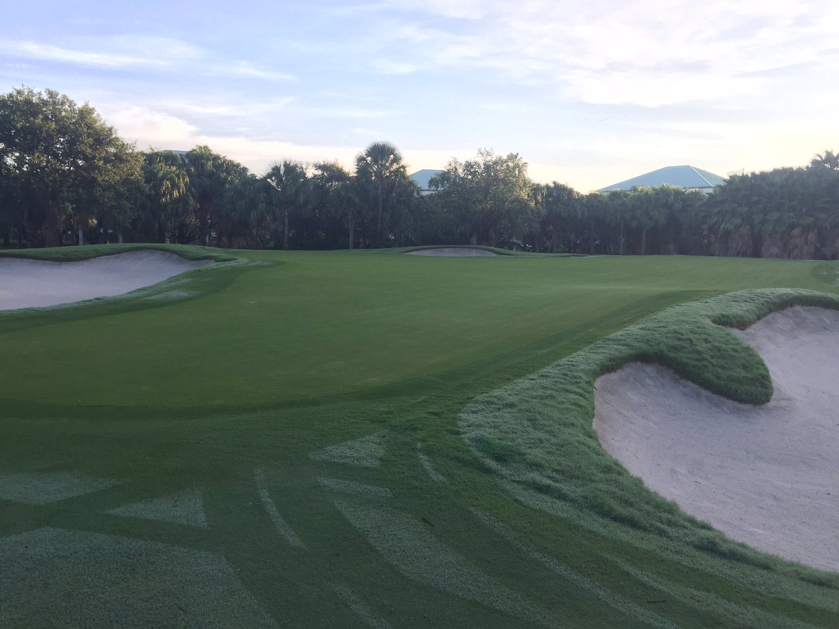 Swary81's tweet photo. Vivax doing it job post aerification @Precision_Labs #BangBang https://t.co/d94HWYC9De