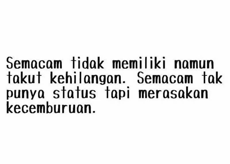 mochim. tweet media