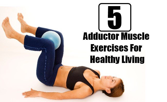 bodybuilderhub's tweet image. 5 Best Adductor Muscle Exercises For Healthy Living 

bodybuildingestore.com/5-best-adducto…

#muscleexercises