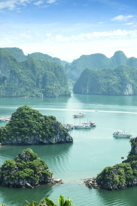 VietnamCamps's tweet image. How incredible is Vietnam... 😍