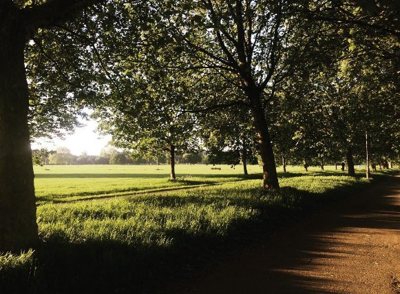 The #sun coming through the trees is so beautiful on #Clapham Common.
#Photo from <a href="/heidihokulani/">heidihokulani</a>.