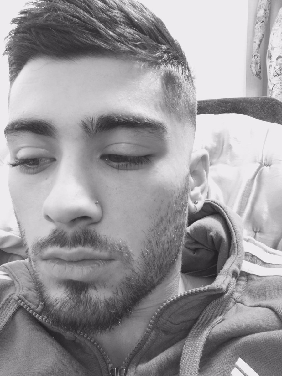 zayn on twitter