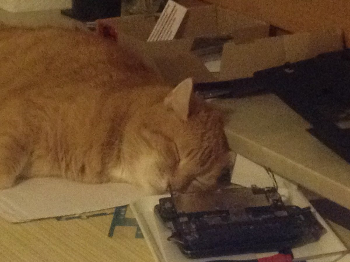 SimbaSimCat's tweet photo. I'm helping repairing an iPhone! https://t.co/xlJbBmpqRR