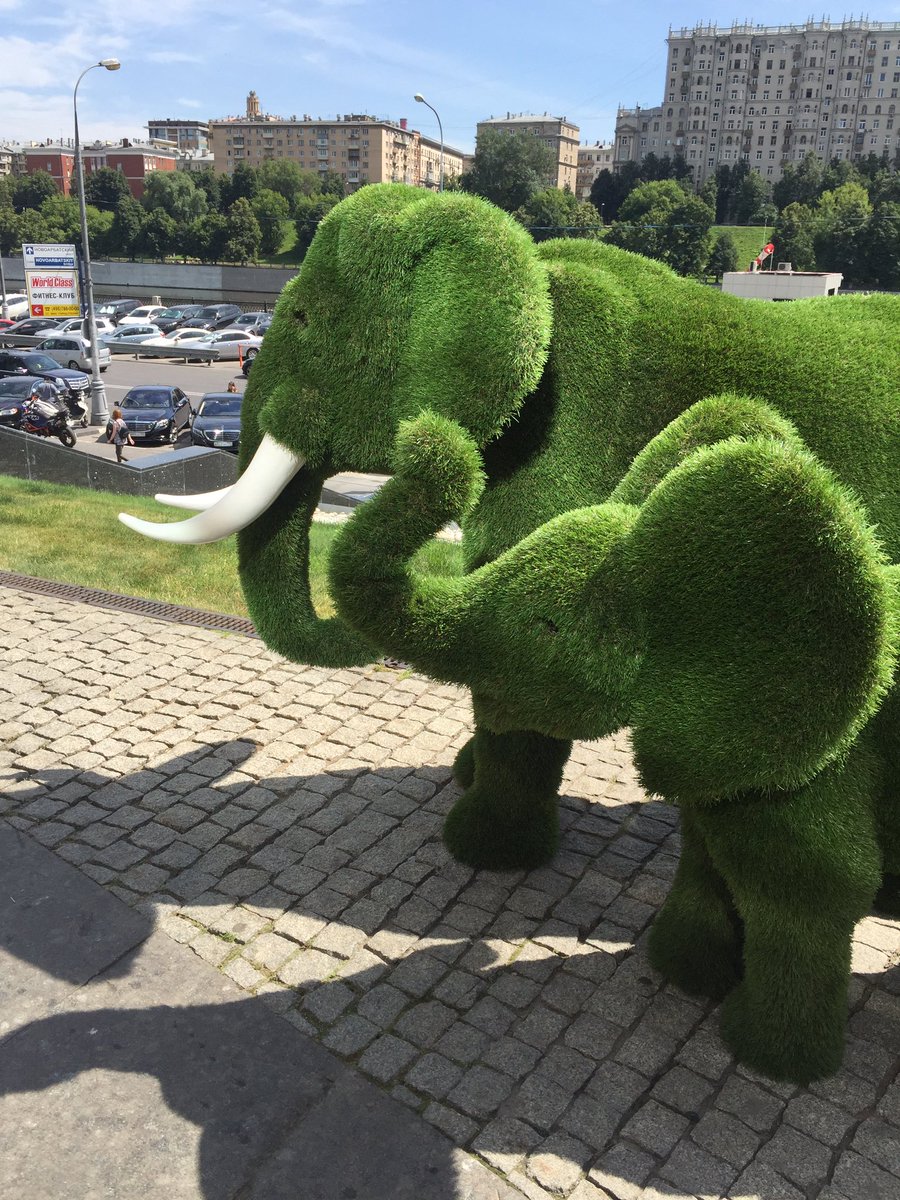 AlferovaYulya's tweet photo. У нас тут в Сити свои джунгли) https://t.co/0ndAxSSpHF