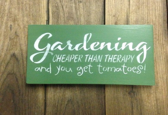 Tanglewood Garden tweet media
