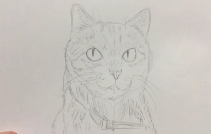 ねこ 