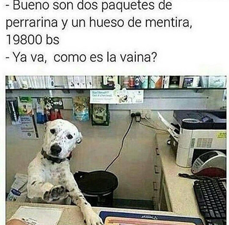 Humor un poco negro en estos tiempos. Ama a tu mascota, recuerda q sigue siendo tu hij@ a pesar de las adversidades