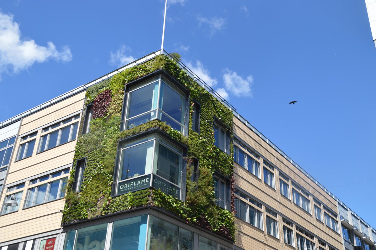 CoinFunded's tweet photo. Trending in green space.. https://t.co/gXvTg7Txjj
