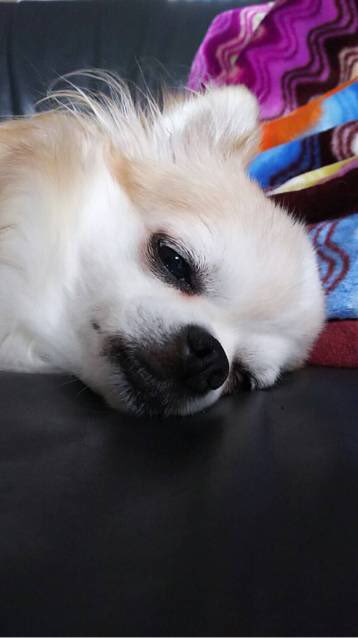 bt_love_0306's tweet photo. #引用RTで別に140字も要らないんで私へのメッセージを送ってください

来ると信じて待ってます👾 https://t.co/oSjtdF7Mll