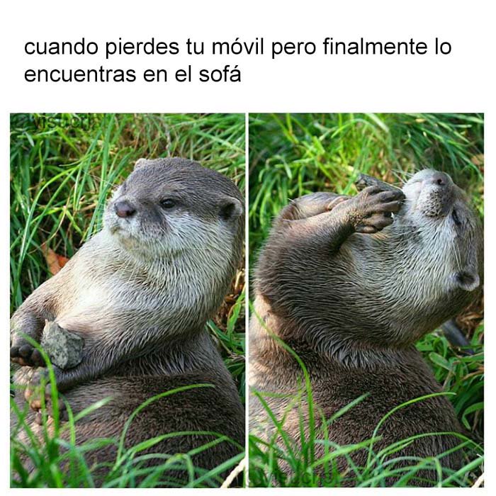 yisucrist's tweet photo. t exaba d menos kerido móvil https://t.co/9xYWLQY2RU