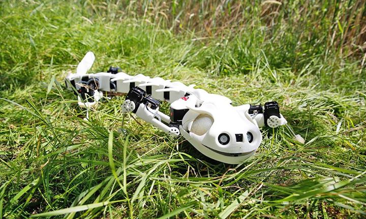 ThinkBonsai's tweet image. Salamander #robot can walk, crawl and swim like the real deal: ow.ly/U2et301LkbE 
 #TechNews #Nature #Future