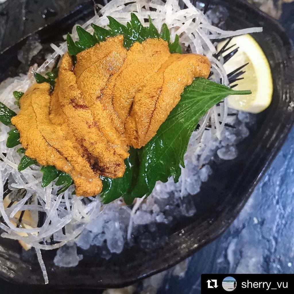 fishbonekitchen's tweet photo. #youstayhungrysd #forkyeah #lunchtime #yummy #uni #seaurchin #fishbonekitchen #rawbar #lib… https://t.co/QfLif3g96B https://t.co/4ReOOx59f0