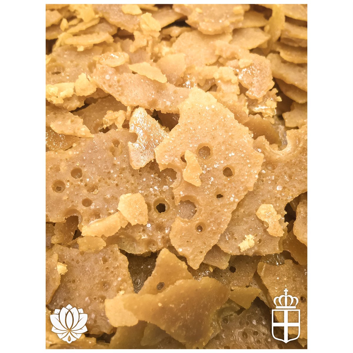 The terpenes on this Amnesia Haze sugar wax are pure heaven 😇🙏😍 <a href="/thevirginiaco/">The Virginia Company</a> #sugarwax #terpenes #crumble #i502