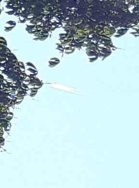UnearthShadows's tweet photo. Random morning to see this shooting through the sky... https://t.co/zYcC9I3Lxz
