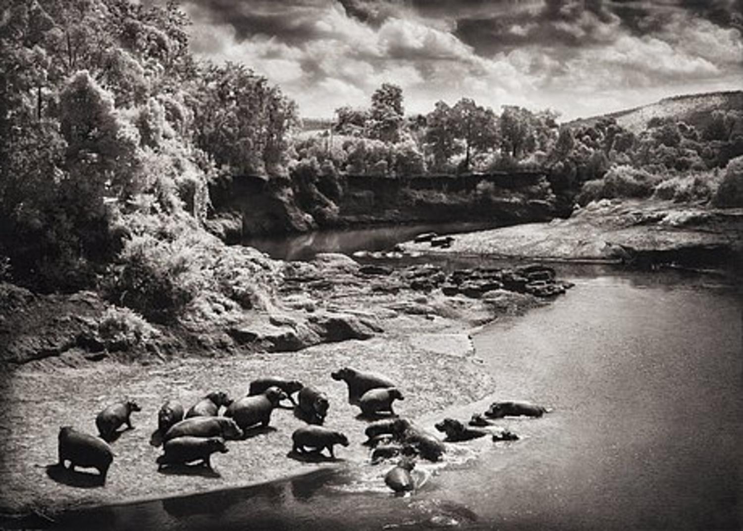 Nick Brandt фотограф