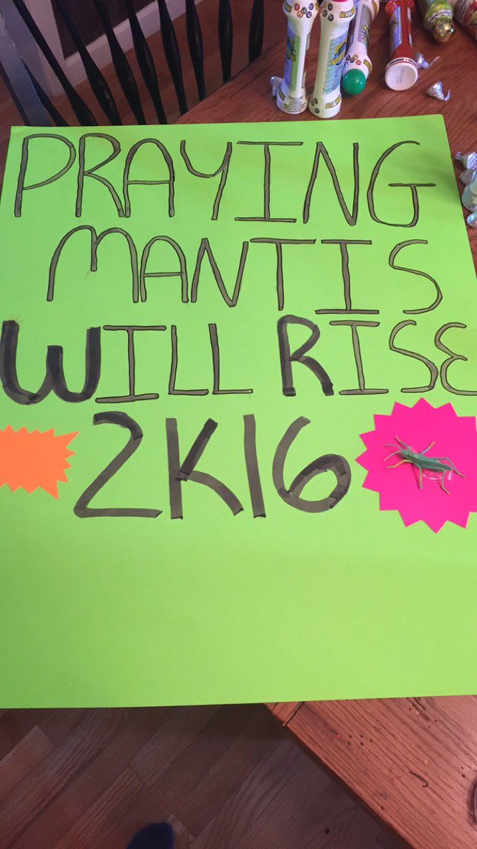 5soshersheyx's tweet photo. MY SIGN FOR #SLFLHERSHEY LMAO https://t.co/gkrHB4XQrO