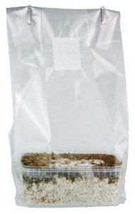 Ya tenemos en <a href="/GardenPassion1/">Garden Passion</a> kits de cultivo de setas mágicas.