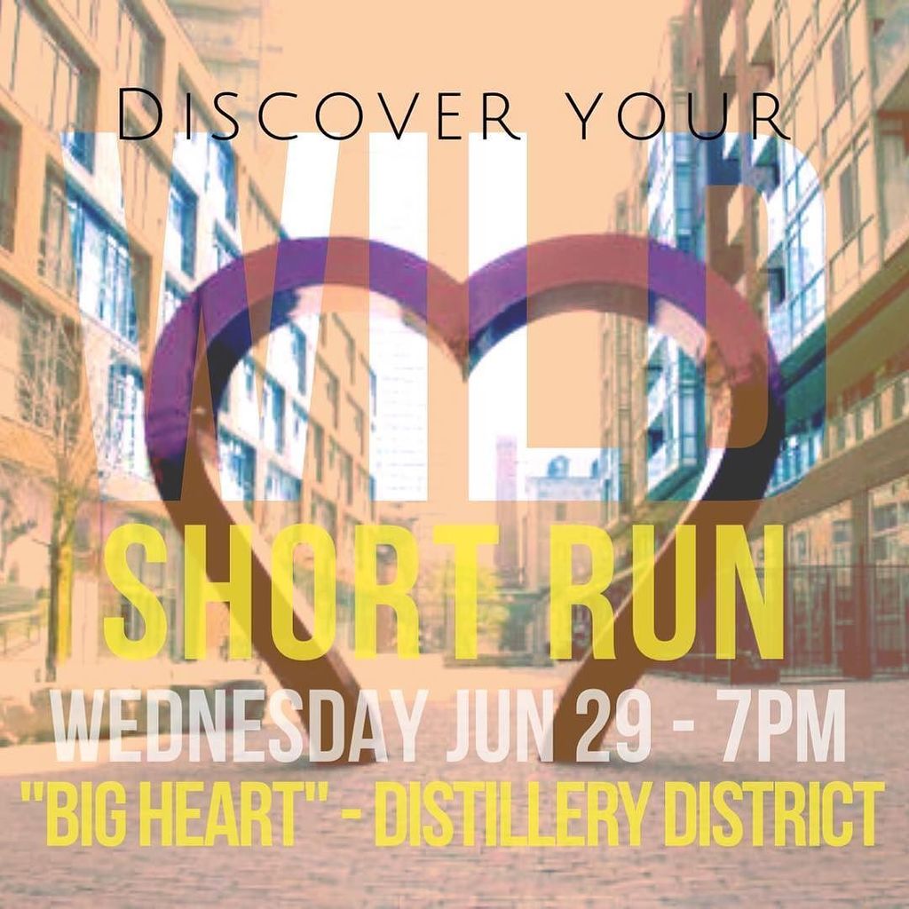 DiscovrYourWild's tweet photo. TONIGHT- We're going for a short run to a beach ☀️☀️
Meet at the "big heart" in the Distil… https://t.co/bdP388hBgq https://t.co/iorTNZQCLx