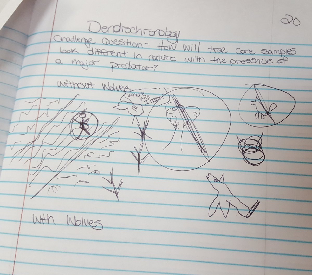 Mrs_G_RV's tweet photo. Dendrchronology lab....influence of wolf populations #inquiry #WAAEPDC #WAAEAgI2 @DuPont_News https://t.co/5XF6gclZrW
