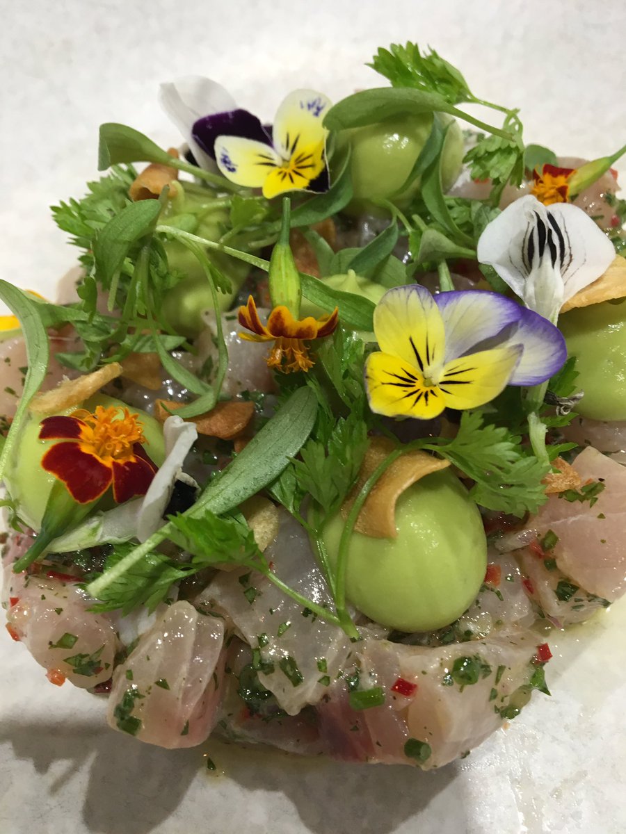 Mark Edward Holland tweet media