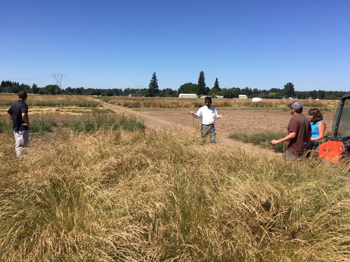 ZachKuenzi's tweet photo. @BarenbrugUSA we surely have the best research team and breeders in the industry! #GreatInGrass @RTF_Sod https://t.co/lQeLU92qrH