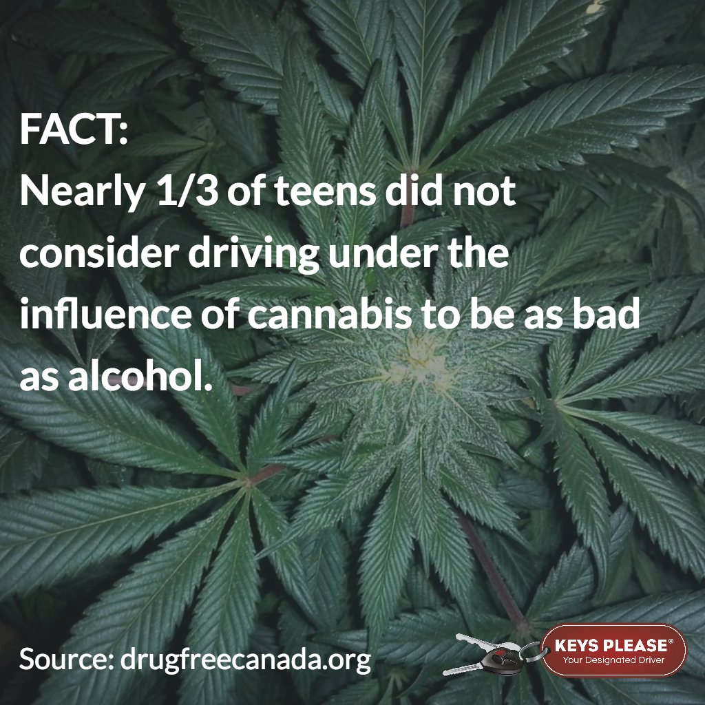 KeysPleaseDD's tweet image. DYK 1/3 of #teens do not consider #driving under the #influence of #cannabis to be as bad as #alcohol?