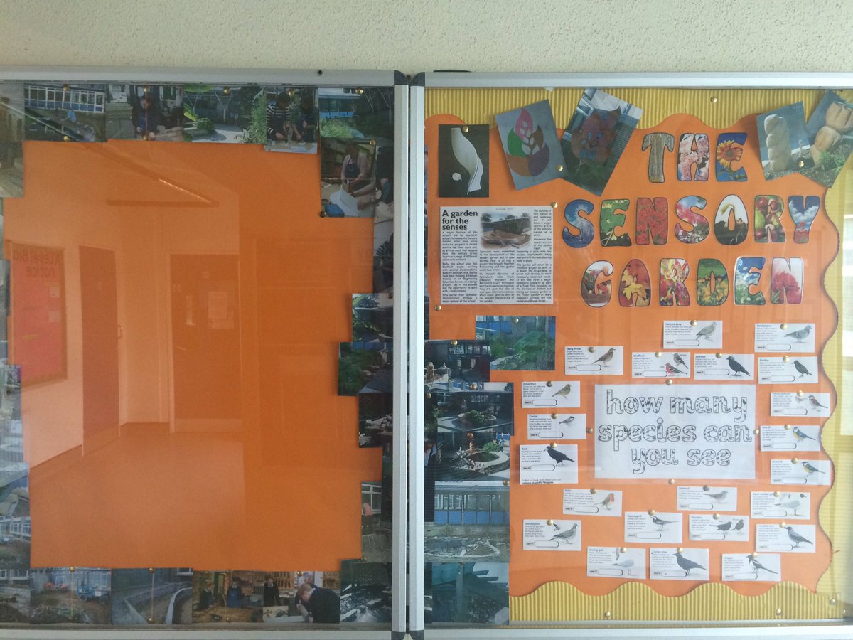 Mrs_RobertsonRO's tweet photo. @praisesaltash Come down to the biology area and check out the new Sensory Garden display!! #getinvolvedwithscience https://t.co/v5QUMKkXkF