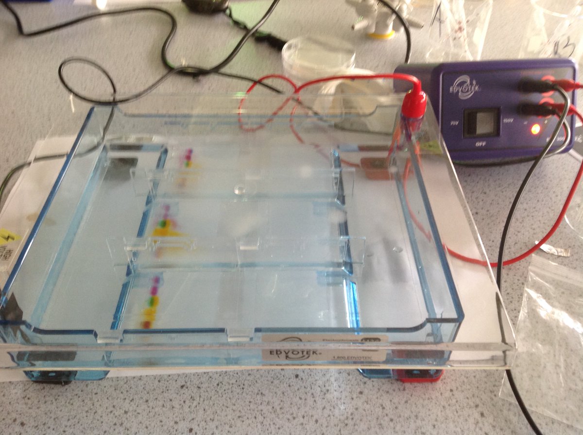 RGSHW Learning tweet media