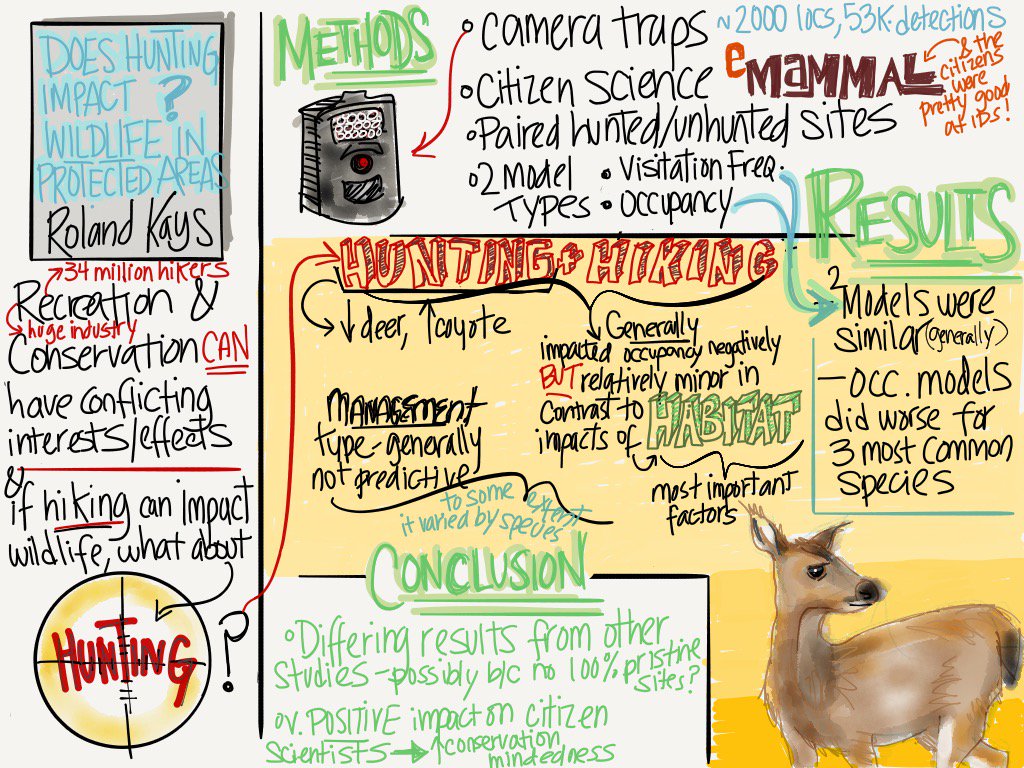 TalisinHammond's tweet photo. @RolandKays great work employing citizen sci. to study recreation's impact on wildlife! #asmgopher #madewithpaper https://t.co/aFu1FwpLq6